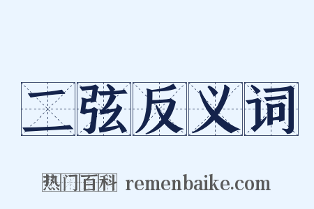 二弦反义词是什么意思的图片